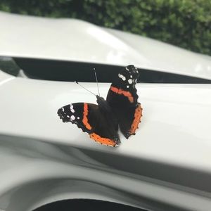 Meet your Posher, Lina